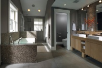 Wayland Renovation - contemporary - bathroom - boston