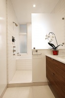 Noe Valley Residence - tropical - bathroom - san francisco