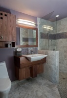 Dundee Hills Guest Bath - 'wheel chair accessible' - contemporary - bathroom - portland