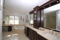 Master Bath - traditional - bathroom - chicago