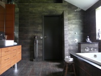 Zenbath - contemporary - bathroom - houston