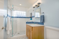 Blue and White Bathroom with Glass Block - traditional - bathroom - san francisco