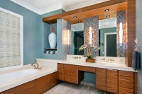 Organic Modern - contemporary - bathroom - chicago