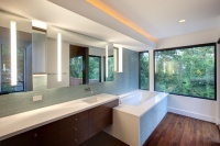 Harris Master Bath - modern - bathroom - austin