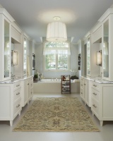 Franklin Master Bath - contemporary - bathroom - detroit