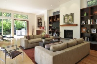 Ana Williamson Architect - contemporary - living room - san francisco