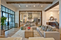 Cat Mountain - contemporary - living room - austin