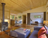 Modern Cabin - modern - living room - burlington