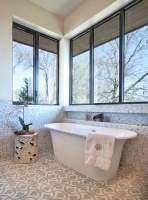 Cat Mountain Residence - modern - bathroom - austin