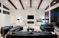 Interiors - contemporary - living room - vancouver