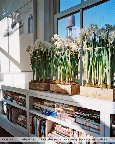 Modern Living Room