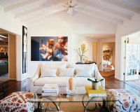 Eclectic Traditional Living Room