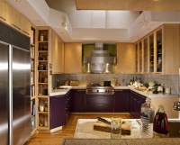 Contemporary Kitchen