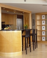 Contemporary Kitchen