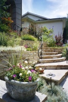 Get Along With Less Lawn - Ideas to Save Water and Effort