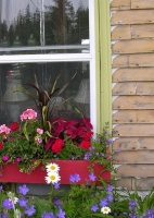 How to Make a Window Garden Grow