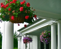 Get the Hang of Hanging Flower Baskets