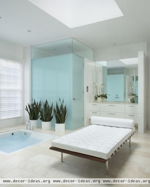 Master Bathroom - contemporary - bathroom - detroit