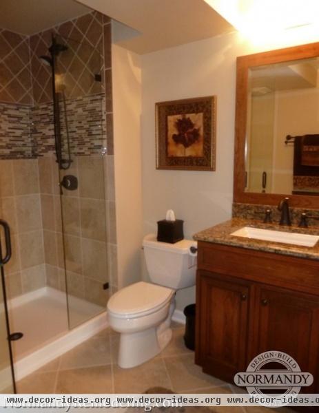 Finished Basement Adds Valuable Living Space - traditional - bathroom - chicago