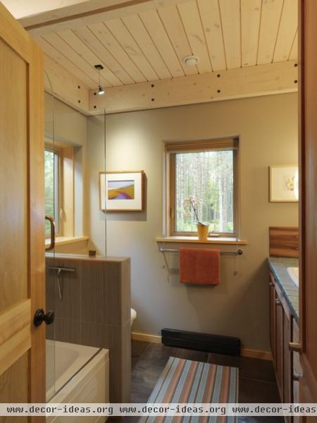 Contemporary Camp in the Woods - contemporary - bathroom - burlington