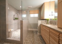 Master Bathroom 1 - contemporary - bathroom - austin