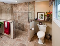 Walk-in Shower - traditional - bathroom - philadelphia