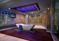 Tropical Oasis - contemporary - bathroom - orange county