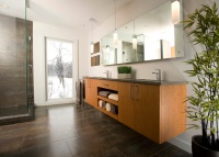 Master Bathroom Retreat - contemporary - bathroom - cincinnati