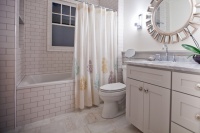 Hall Bathroom - traditional - bathroom - other metro