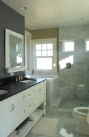 Master bath - traditional - bathroom - other metro