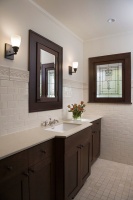 River Forest 1 - traditional - bathroom - chicago