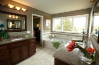 Glamorous - traditional - bathroom - minneapolis