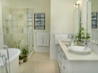 Master Bathroom - contemporary - bathroom - austin