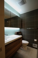 European-Inspired Baths - contemporary - bathroom - dc metro