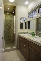 A Petaluma remodel - traditional - bathroom - san francisco