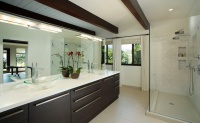 Southern California Homes - contemporary - bathroom - los angeles