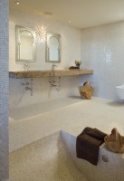 Buena Vista House Bathroom - contemporary - bathroom - san francisco