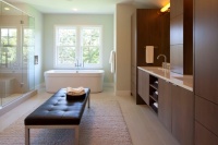 Edina 4 - contemporary - bathroom - minneapolis