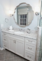 Master Bathroom Retreat - traditional - bathroom - dc metro