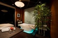 Intuitive Lighting Control - asian - bathroom - dc metro