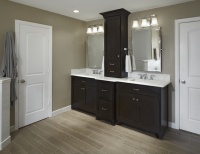 Bonlander - traditional - bathroom - dallas