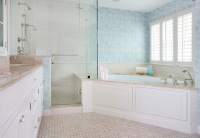 Traditional Master Bathroom - traditional - bathroom - chicago