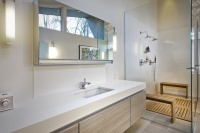 Master Bath - modern - bathroom - minneapolis