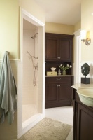 Traditional Kitchen & Bathroom - Master Bath - contemporary - bathroom - minneapolis