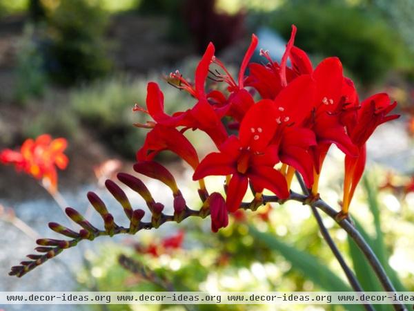 landscape by Le jardinet