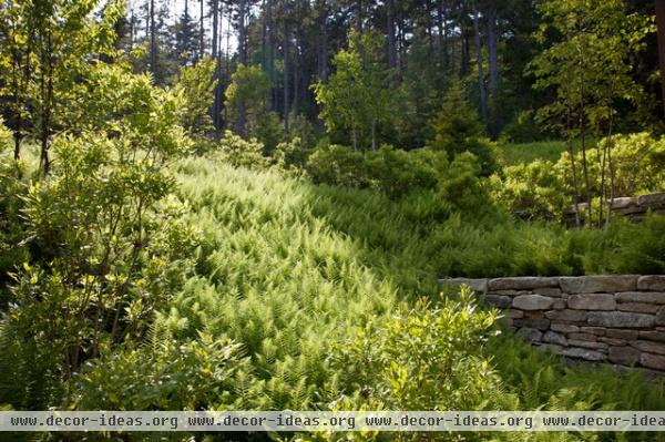 eclectic landscape by Matthew Cunningham Landscape Design LLC