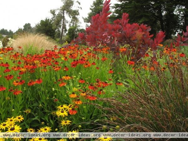 traditional landscape by Le jardinet