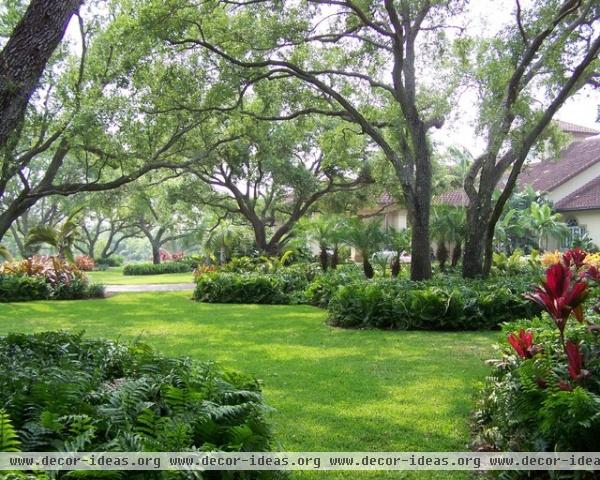 mediterranean landscape by orlando comas, landscape architect.