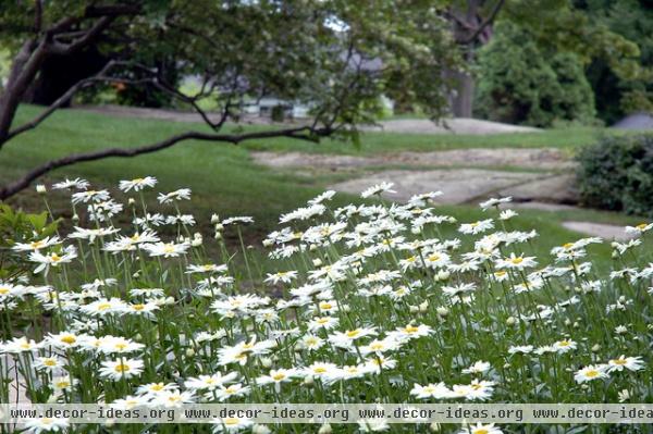 traditional landscape by Timothy Lee landscape design