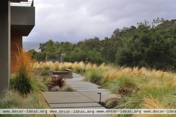 modern landscape by Huettl Landscape Architecture